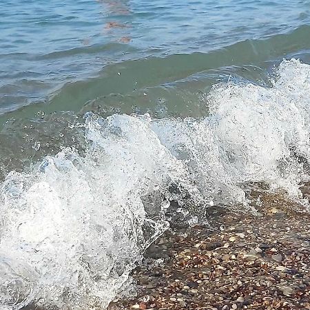 Suncani Apartman 1-Vila Amfora Budva Eksteriør billede