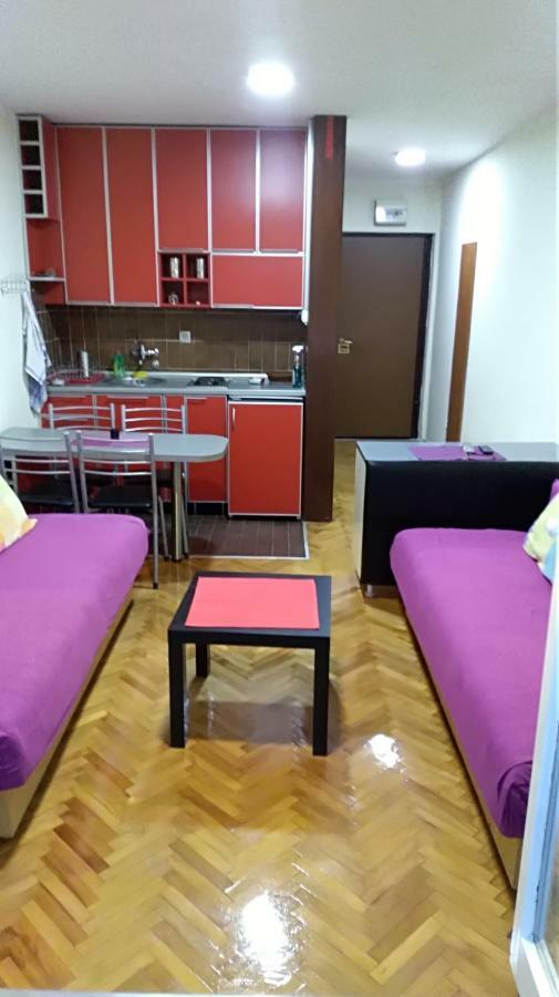 Suncani Apartman 1-Vila Amfora Budva Eksteriør billede